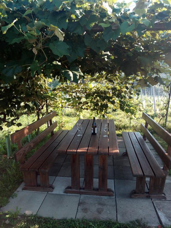 Gaestehaus Grasch Kitzeck im Sausal Zewnętrze zdjęcie