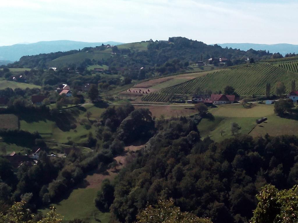 Gaestehaus Grasch Kitzeck im Sausal Zewnętrze zdjęcie
